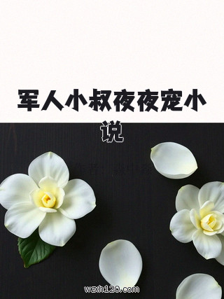 军人小叔夜夜宠小说