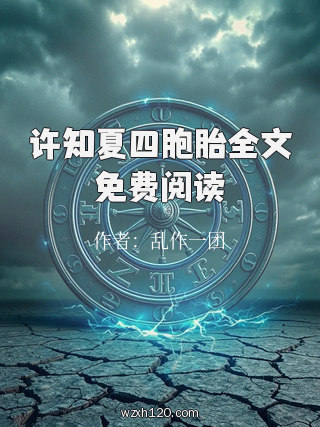 许知夏四胞胎全文免费阅读
