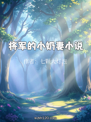 将军的小奶妻小说