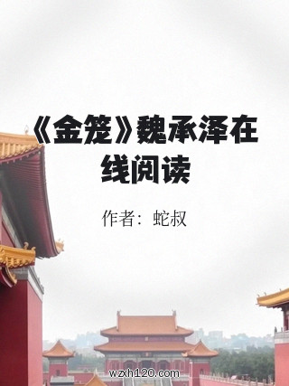 《金笼》魏承泽在线阅读