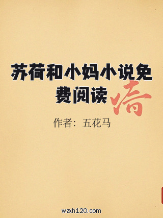 苏荷和小妈小说免费阅读