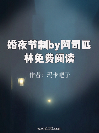 婚夜节制by阿司匹林免费阅读