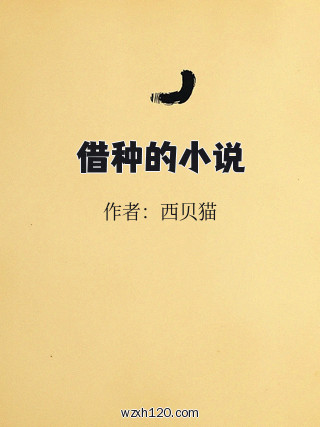借种的小说