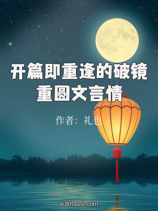 开篇即重逢的破镜重圆文言情