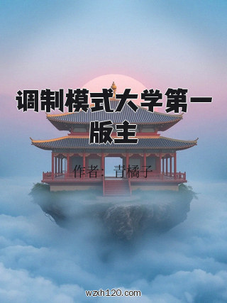 调制模式大学第一版主