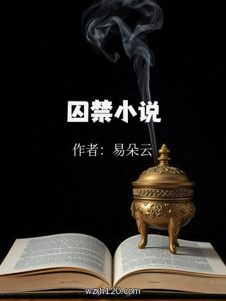 囚禁小说