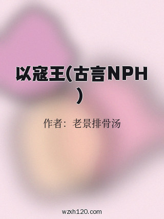 以寇王(古言NPH)