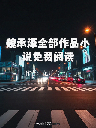 魏承泽全部作品小说免费阅读