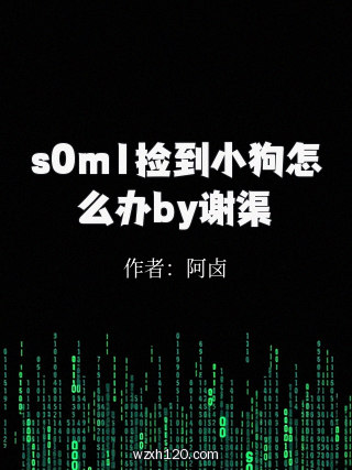 s0m1捡到小狗怎么办by谢渠