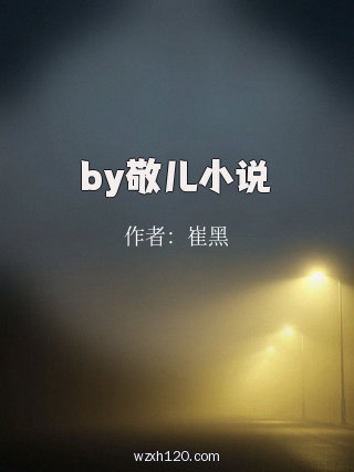 by敬儿小说