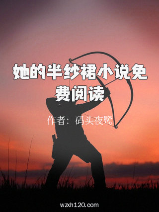 她的半纱裙小说免费阅读