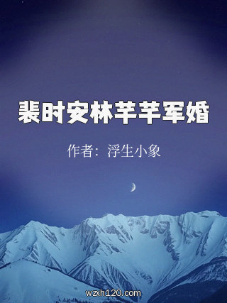 裴时安林芊芊军婚