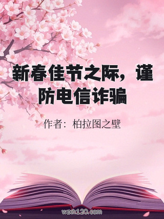 新春佳节之际,谨防电信诈骗