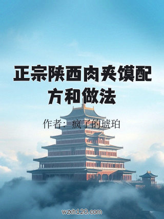 正宗陕西肉夹馍配方和做法