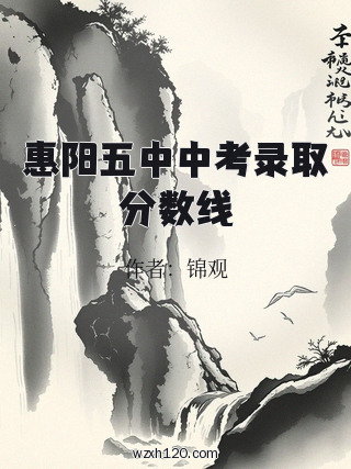 惠阳五中中考录取分数线