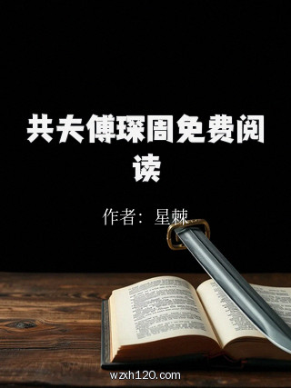 共夫傅琛周免费阅读