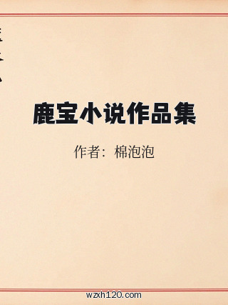 鹿宝小说作品集