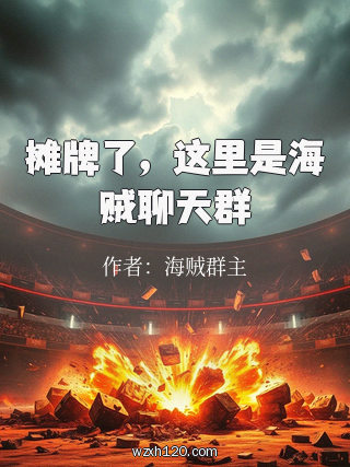 摊牌了,这里是海贼聊天群