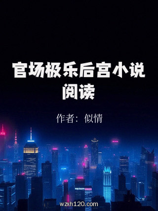 官场极乐后宫小说阅读