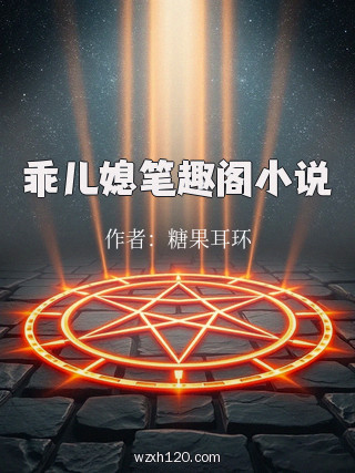 乖儿媳笔趣阁小说
