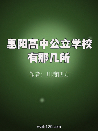 惠阳高中公立学校有那几所