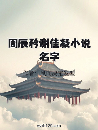 周辰矜谢佳凝小说名字