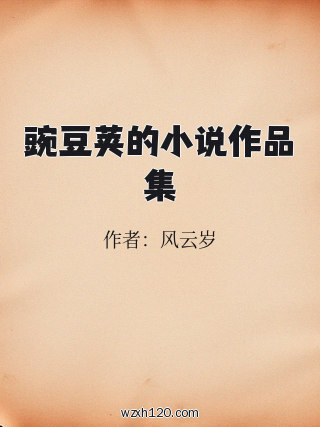 豌豆荚的小说作品集