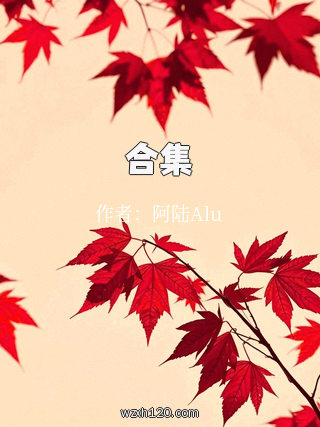 合集