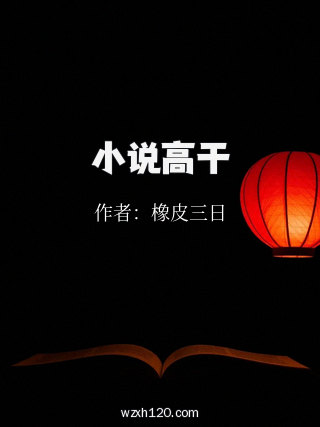 小说高干