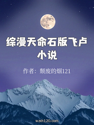 综漫天命石版飞卢小说