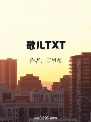敬儿TXT