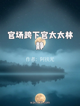 官场跨下官太太林静