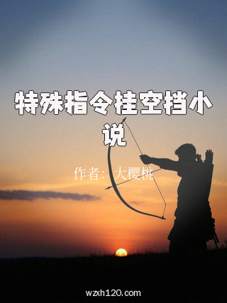 特殊指令挂空挡小说
