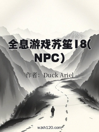 全息游戏苏笙18(NPC)