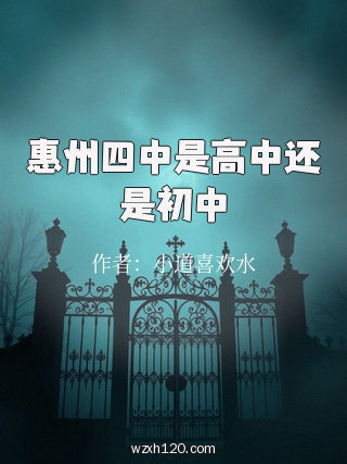 惠州四中是高中还是初中