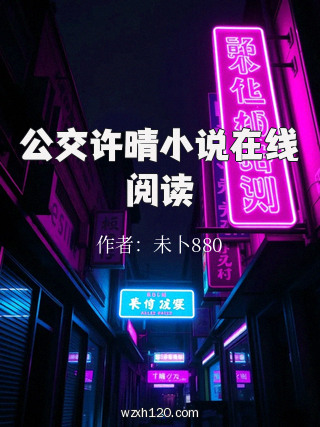 公交许晴小说在线阅读