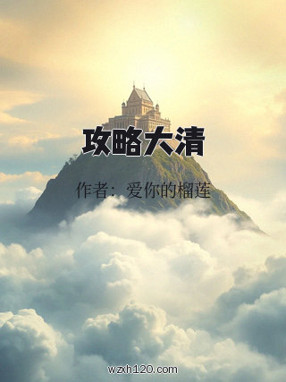 攻略大清