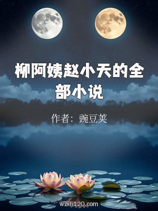 柳阿姨赵小天的全部小说