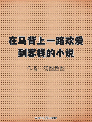 在马背上一路欢爱到客栈的小说