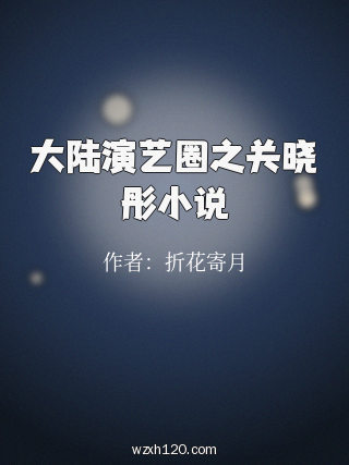 大陆演艺圈之关晓彤小说