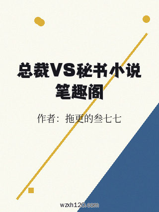 总裁VS秘书小说笔趣阁