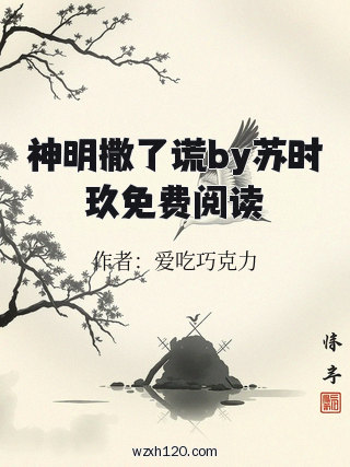 神明撒了谎by苏时玖免费阅读
