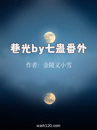 巷光by七蛊番外