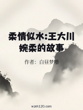 柔情似水:王大川婉柔的故事