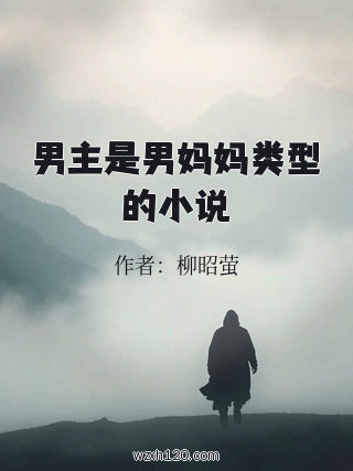 男主是男妈妈类型的小说