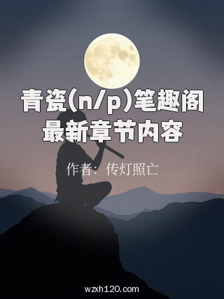 青瓷(n/p)笔趣阁最新章节内容