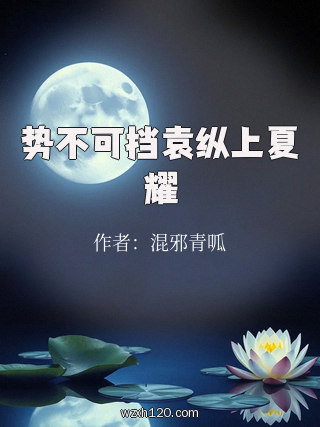势不可挡袁纵上夏耀