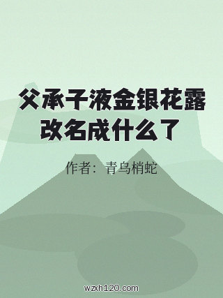 父承子液金银花露改名成什么了