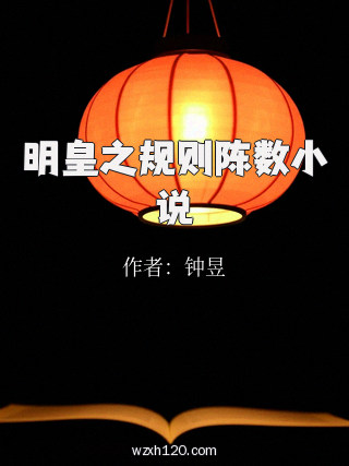 明皇之规则陈数小说