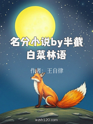 名分小说by半截白菜林语